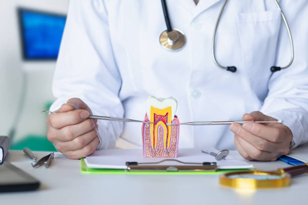 Best Emergency Treatment for Toothache in Shorewood Forest, IN
